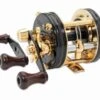 Abu Garcia Ambassadeur 5500 CDL (Guldrulle) -Fladen-kauppa 1119179 1