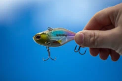 Berkley DEX Ripper 12 Berkley DEX Ripper -Fladen-kauppa 1572667r 5