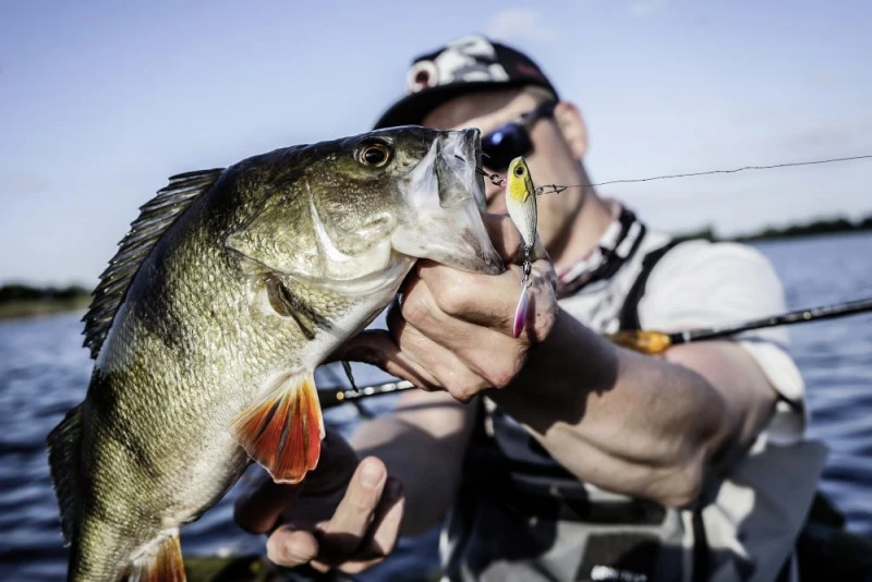 Quantum 4Street Spin-Jig 14g 4 Quantum 4Street Spin-Jig 14g - Image 2