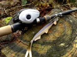 Quantum Accurist Baitcast AT101 HPT -Fladen-kauppa 22 570101 6