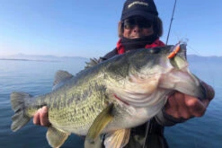 Megabass Dyna Response 14g -Fladen-kauppa MB DR 4513473478703r 3