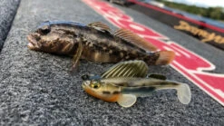 Fladen-kauppa -Fladen-kauppa MB DS24 4513473452352r 3