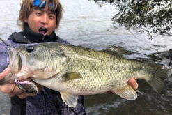 Megabass Vibration-X Dyna (Rattle In) -Fladen-kauppa MB VXDR 4513473465505r 2