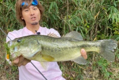 Megabass Vibration-X Dyna (Rattle In) -Fladen-kauppa MB VXDR 4513473465505r 3