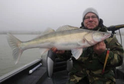 Westin TwinTeez 11 Westin TwinTeez -Fladen-kauppa WS01118r 4