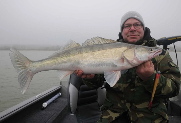 Westin TwinTeez 6 Westin TwinTeez - Image 4