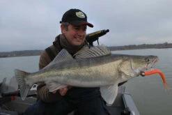 Westin TwinTeez 12 Westin TwinTeez -Fladen-kauppa WS01118r 5