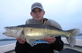 Westin TwinTeez 8 Westin TwinTeez - Image 6