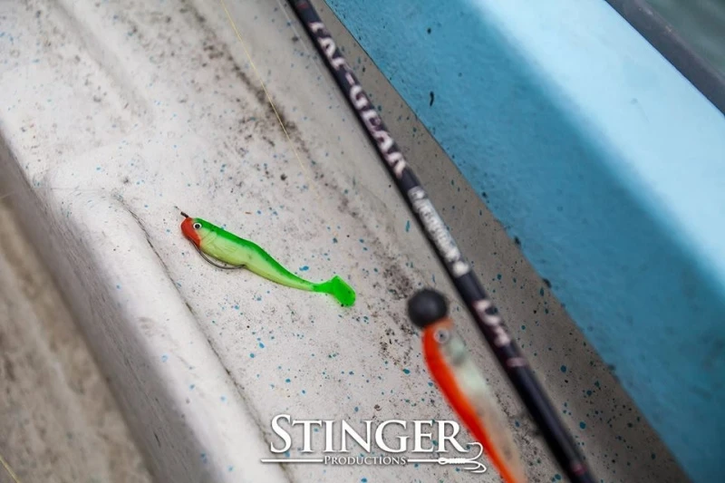 EXoshad 9,5cm (Bulk) 7 EXoshad 9,5cm (Bulk) - Image 5